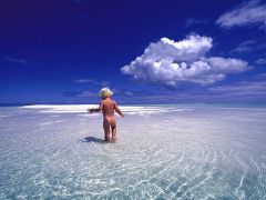  . 
   . 
  1024 X 768