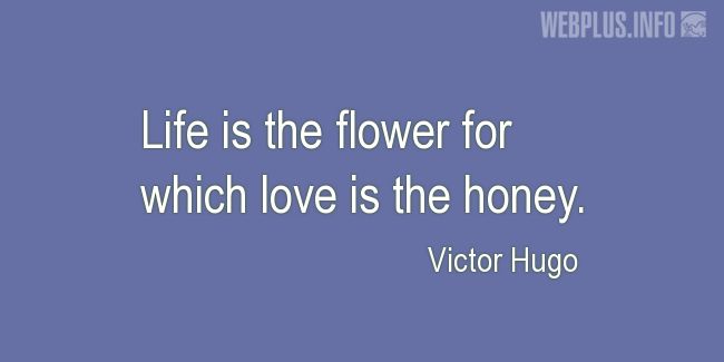 Quotes and pictures for Saint Valentines Day. «Love is the honey» quotation with photo.