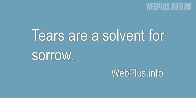 Quotes and pictures for Feeling sorrow. «A solvent for sorrow» quotation with photo.