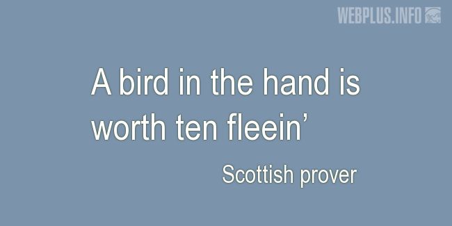 Quotes and pictures for Scottish proverbs and sayings. «A bird in the hand» quotation with photo.