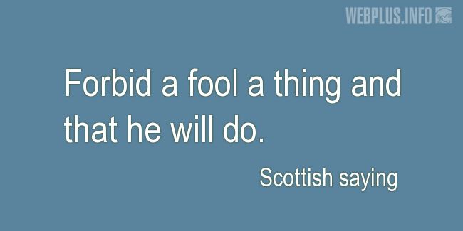 Quotes and pictures for Scottish proverbs and sayings. «Forbid a fool a thing» quotation with photo.