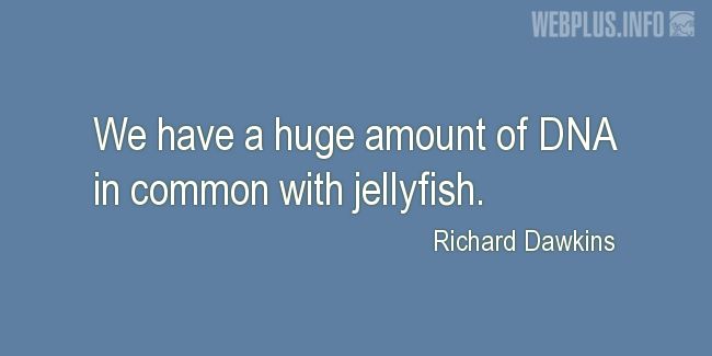 Quotes and pictures for Funny. «A huge amount of DNA in common with jellyfish» quotation with photo.