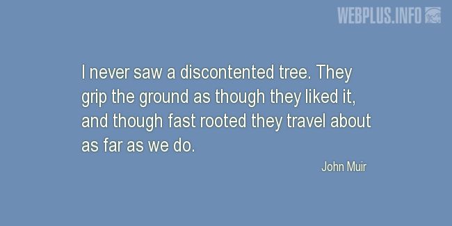 Quotes and pictures for John Muir Day. «I never saw a discontented tree» quotation with photo.