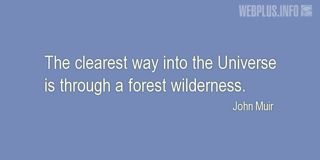 Quotes and pictures for John Muir Day. «The clearest way into the Universe» quotation with photo.