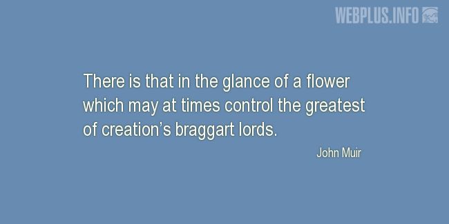 Quotes and pictures for John Muir Day. «The glance of a flower» quotation with photo.