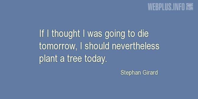 Quotes and pictures for Arbor Day. «I should nevertheless plant a tree today» quotation with photo.