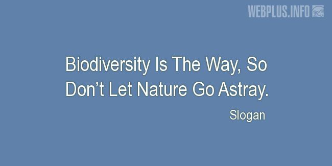 Quotes and pictures for Biological Diversity  (biodiversity). «Dont Let Nature Go Astray» quotation with photo.