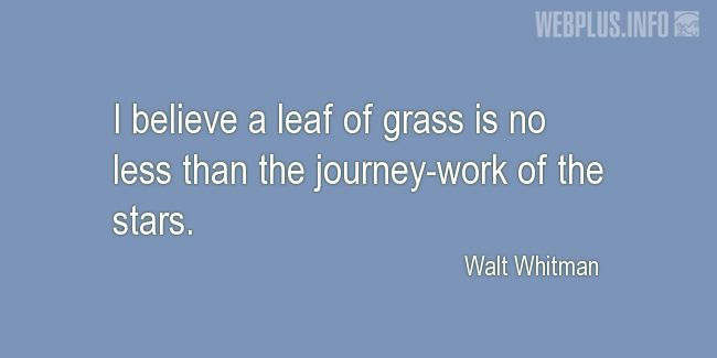 Quotes and pictures for Grass. «No less than the journey-work of the stars» quotation with photo.