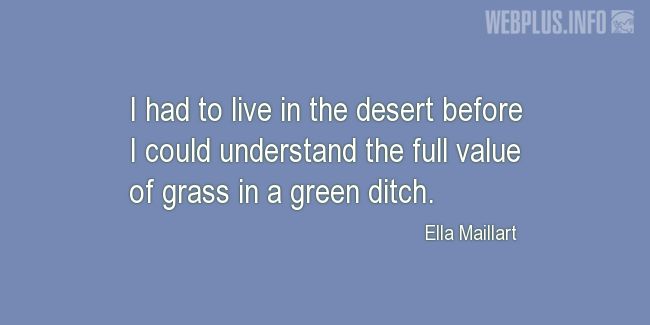 Quotes and pictures for Grass. «The full value of grass in a green ditch» quotation with photo.