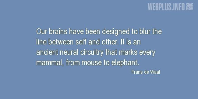 Quotes and pictures for Brains. «The line between self and other» quotation with photo.
