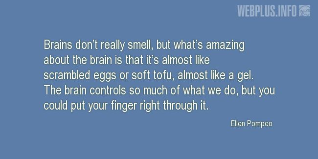 Quotes and pictures for Brains. «You could put your finger right through it» quotation with photo.