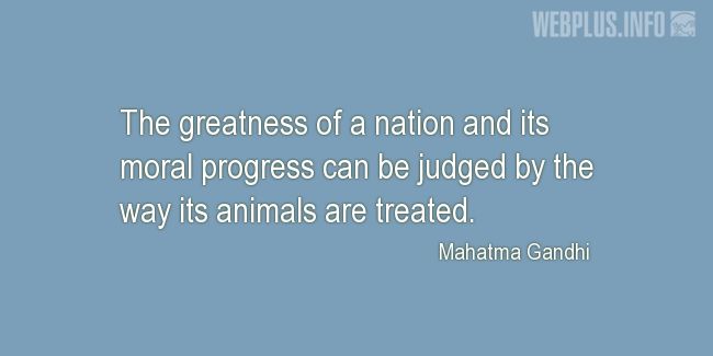 Quotes and pictures for Homeless animals, Adopting animals. «The greatness of a nation» quotation with photo.