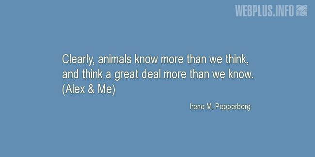 Quotes and pictures for Homeless animals, Adopting animals. «More than we think» quotation with photo.