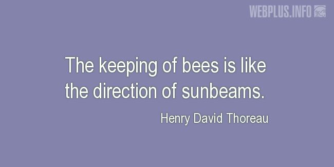 Quotes and pictures for Honey. «The keeping of bees» quotation with photo.