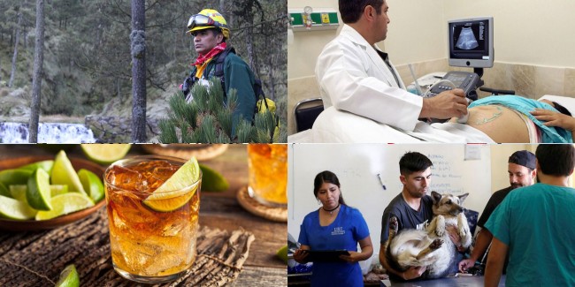 Holiday Calendar for Mexico for 2025-2026 year in December