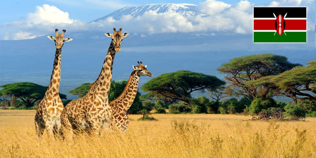 ��������� ����� �� 2026-2027 ���.