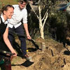 Arbor Day in Poland