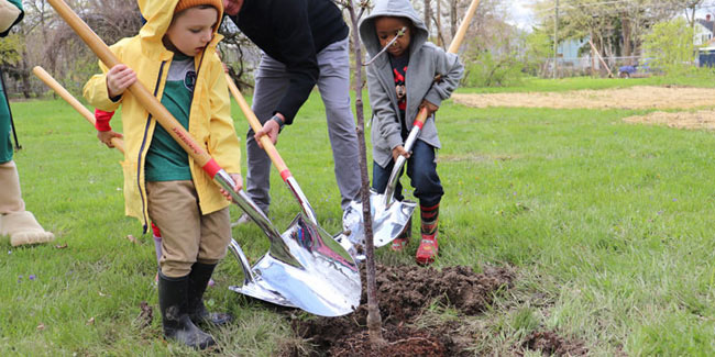 20 October - Arbor Day in Czech Republic