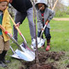 Arbor Day in Czech Republic