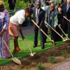 Arbor Day in Republic of Congo