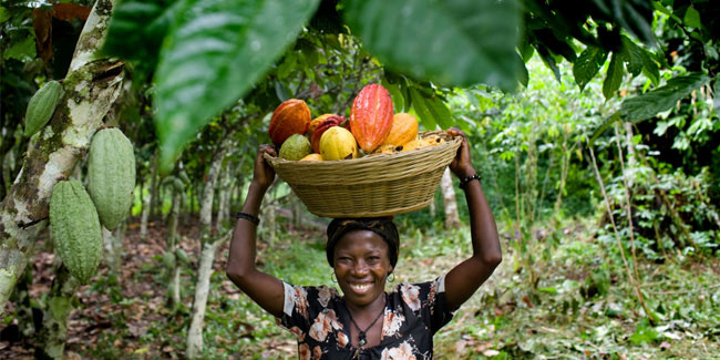 6 December - National Farmer's Day in Ghana