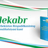 Uzbekistan Constitution Day