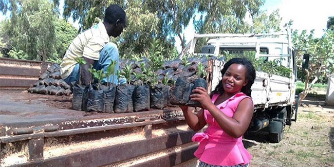 9 December - National Tree Planting Day in Malawi