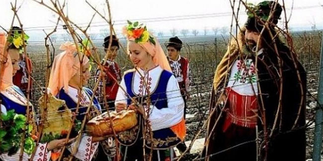 14 February - Holiday of wine-growers or St. Trifon's Day in Bulgaria