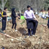 Tree Planting Day in Iran