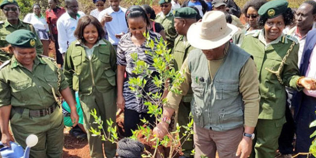 21 April - Kenya National Planting Day