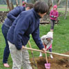 Arbor Day in Germany