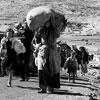 Nakba Day in the State of Palestine