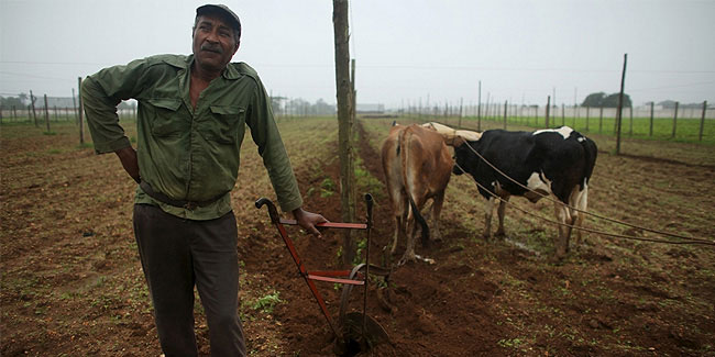 17 May - Agrarian Reform Day or Peasant's Day in Cuba