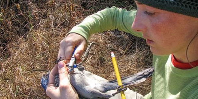 5 June - Ecologist Day in Kazakhstan and Russia