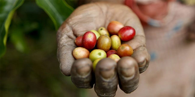 18 June - Sustainable Gastronomy Day