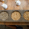 National Coffee Day in Costa Rica