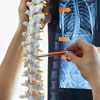 World Spine Day