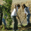 National Public Lands Day in USA