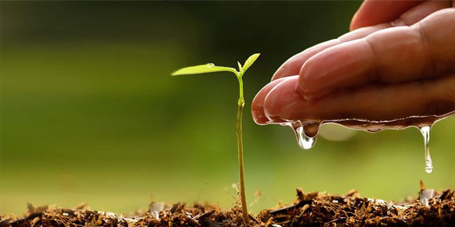 21 March - World Planting Day