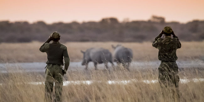 31 July - World Ranger Day