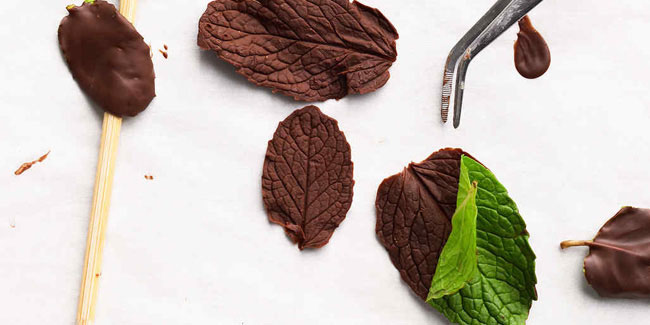 19 February - National Chocolate Mint Day in USA