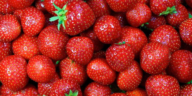 27 February - National Strawberry Day and National Kahlua Day in USA