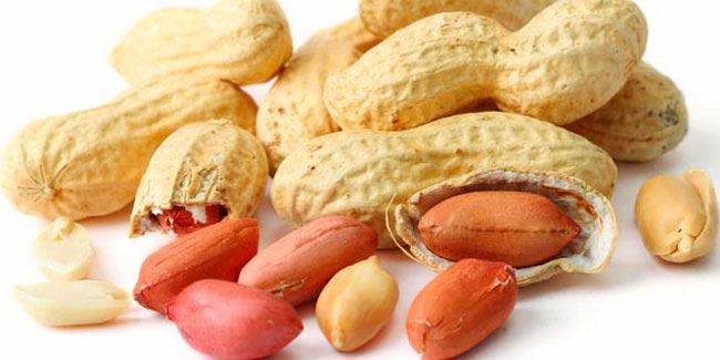 15 March - National Peanut Lovers Day in USA