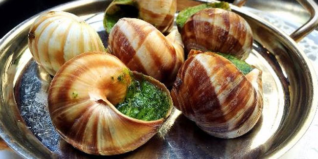 24 May - National Escargot Day in USA