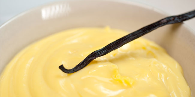 17 August - National Vanilla Custard Day in USA