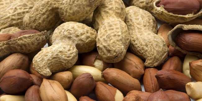 13 September - National Peanut Day in USA