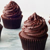 National Chocolate Cupcake Day in USA