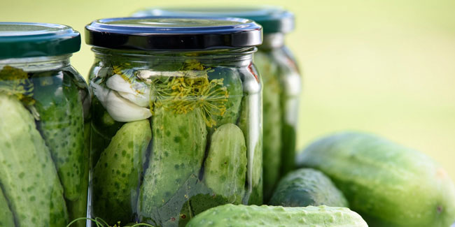 14 November - National Pickle Appreciation Day in USA