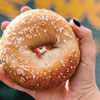 National Have a Bagel Day and Noodle Ring Day in USA