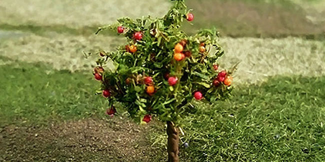 6 January - Apple Tree Day